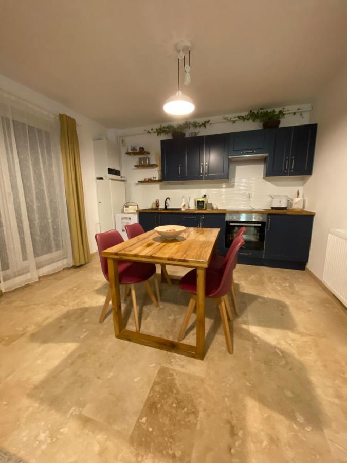 Helga’s Place Premium 1 bedroom condo Cluj-Napoca Buitenkant foto